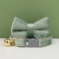 bow tie collar22