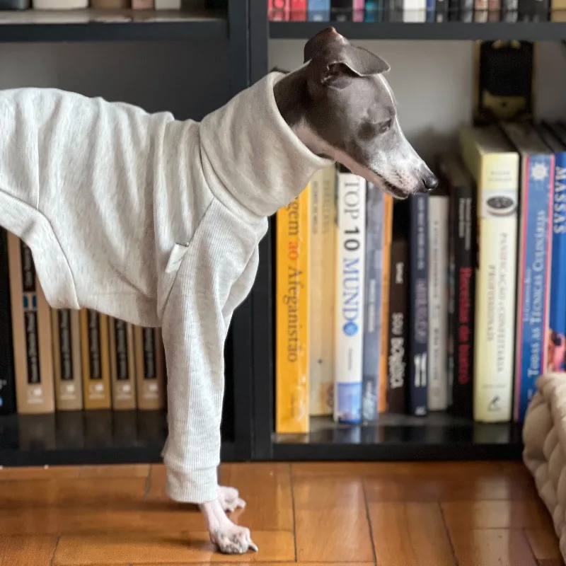 Ajuste práctico en perro activo