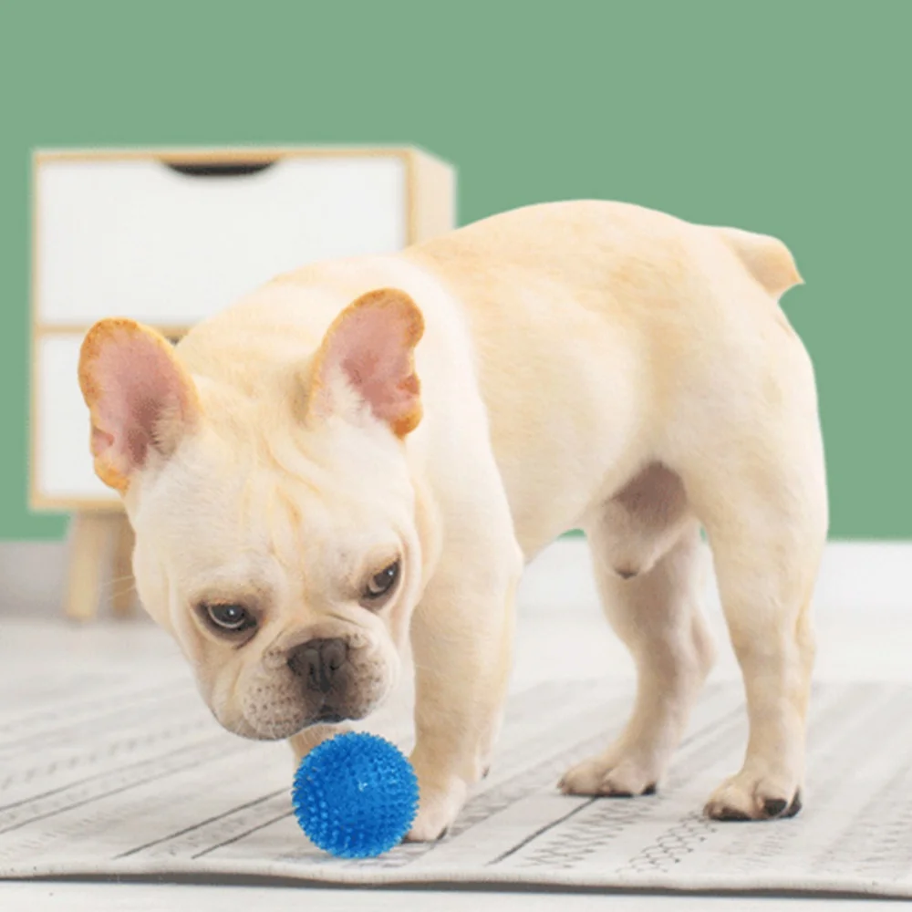 Cachorro chirriante, pelota grande para perros, juguetes para perros pequeños y medianos, dientes limpios, juguete para masticar para mascotas, Bulldog Francés, Corgi mascotas, accesorios para jugar - imagen 5