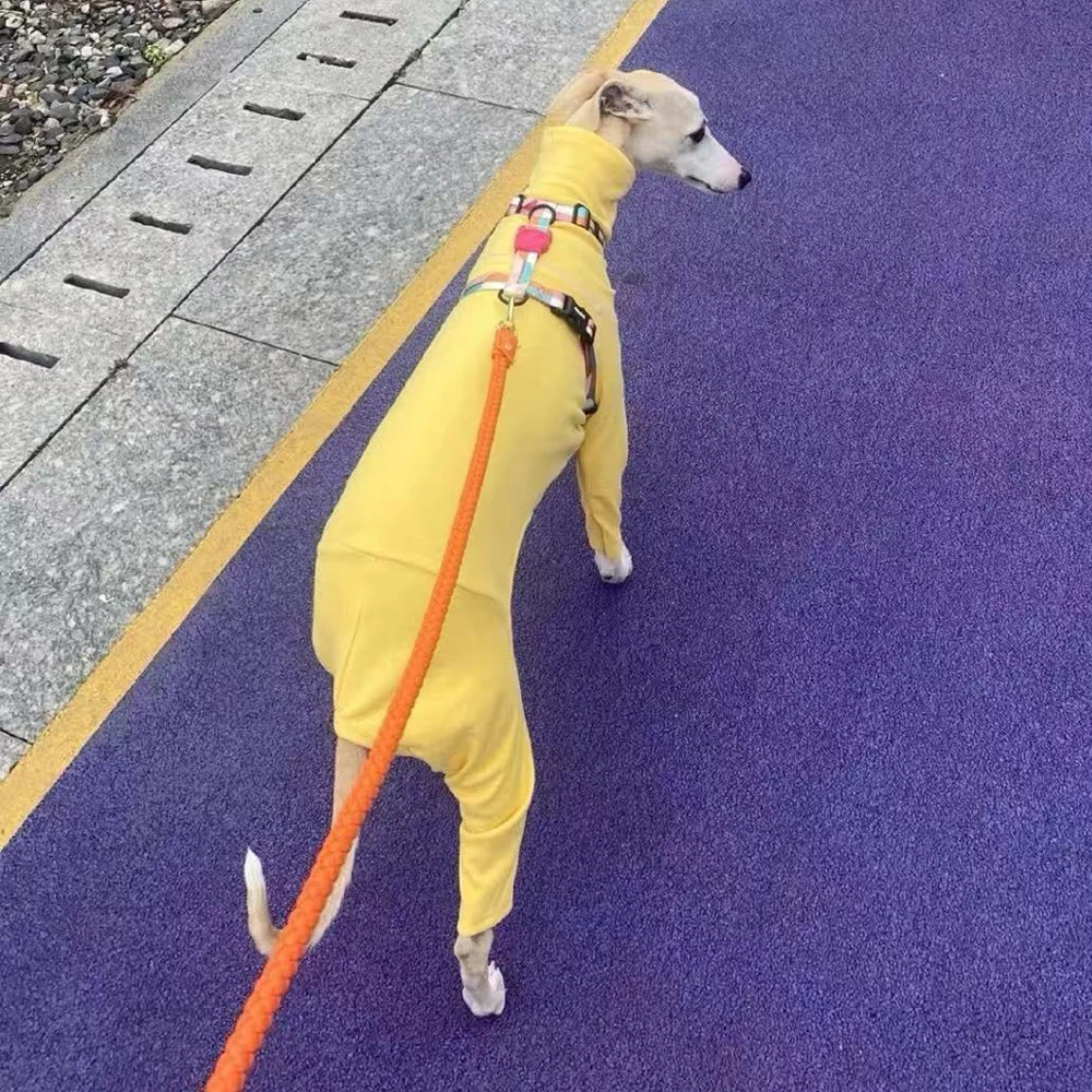 Sudadera de algodón de otoño de 4 patas para medios pequeños, mono de cuello alto suave y cálido de galgo italiano grande para Whippet en invierno - imagen 4