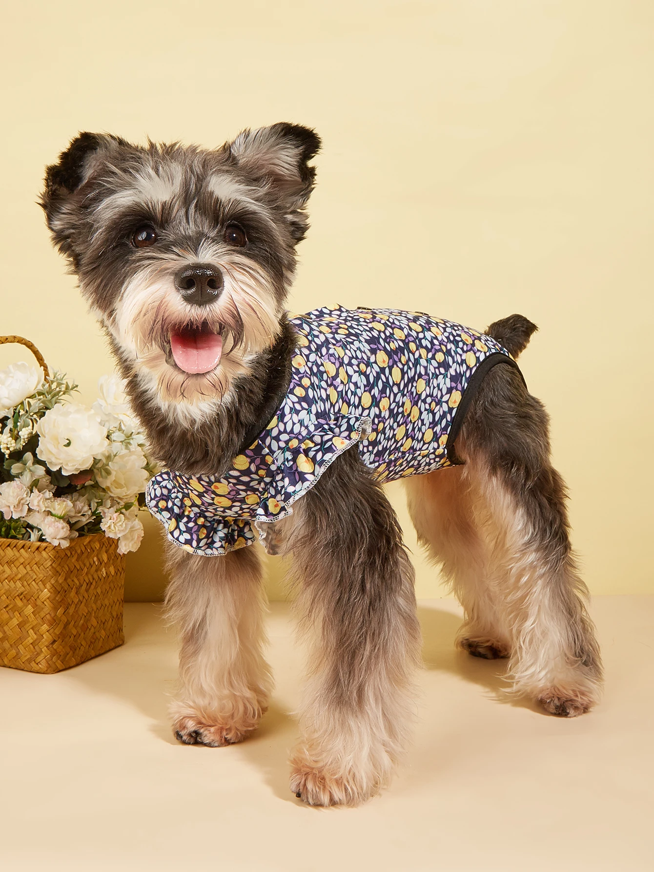 Pjs-ropa con dobladillo y volantes para perros pequeños, ropa con patrón bonito para cachorros y gatos, primavera y verano - imagen 5