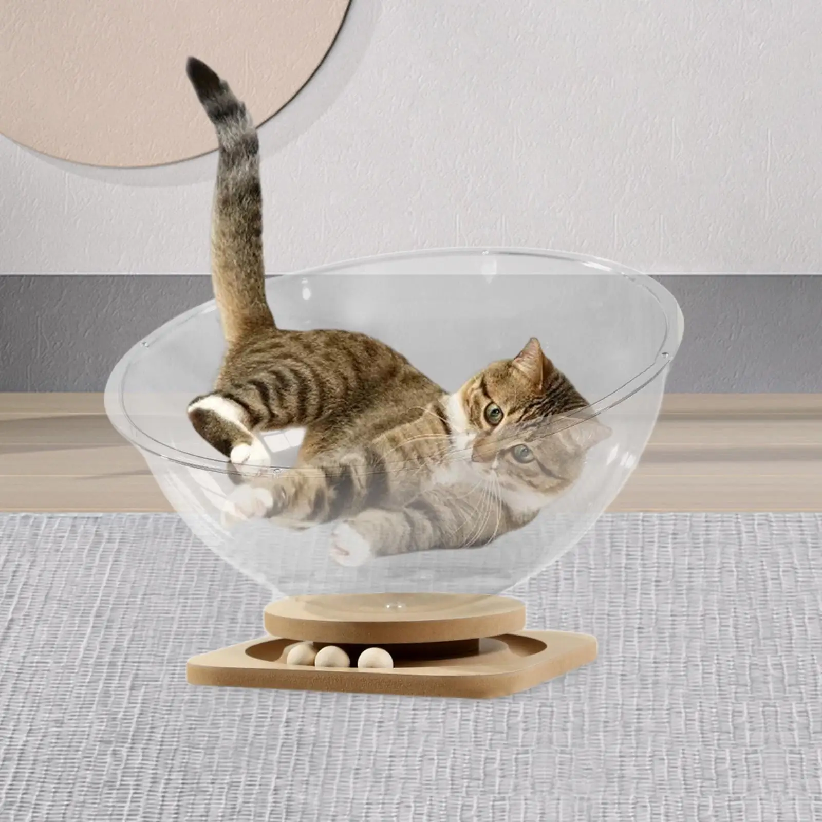 Space Capsule Cat Bed Kitten Nest Universal Activity Center Easy Cleaning Cat Furniture Hammock Summer Cat Cradle for Cats