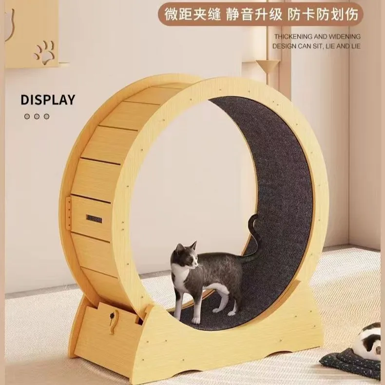 Rueda de ejercicio silenciosa para gatos grandes - caminadora felina - imagen 2