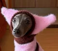 1pc Hat