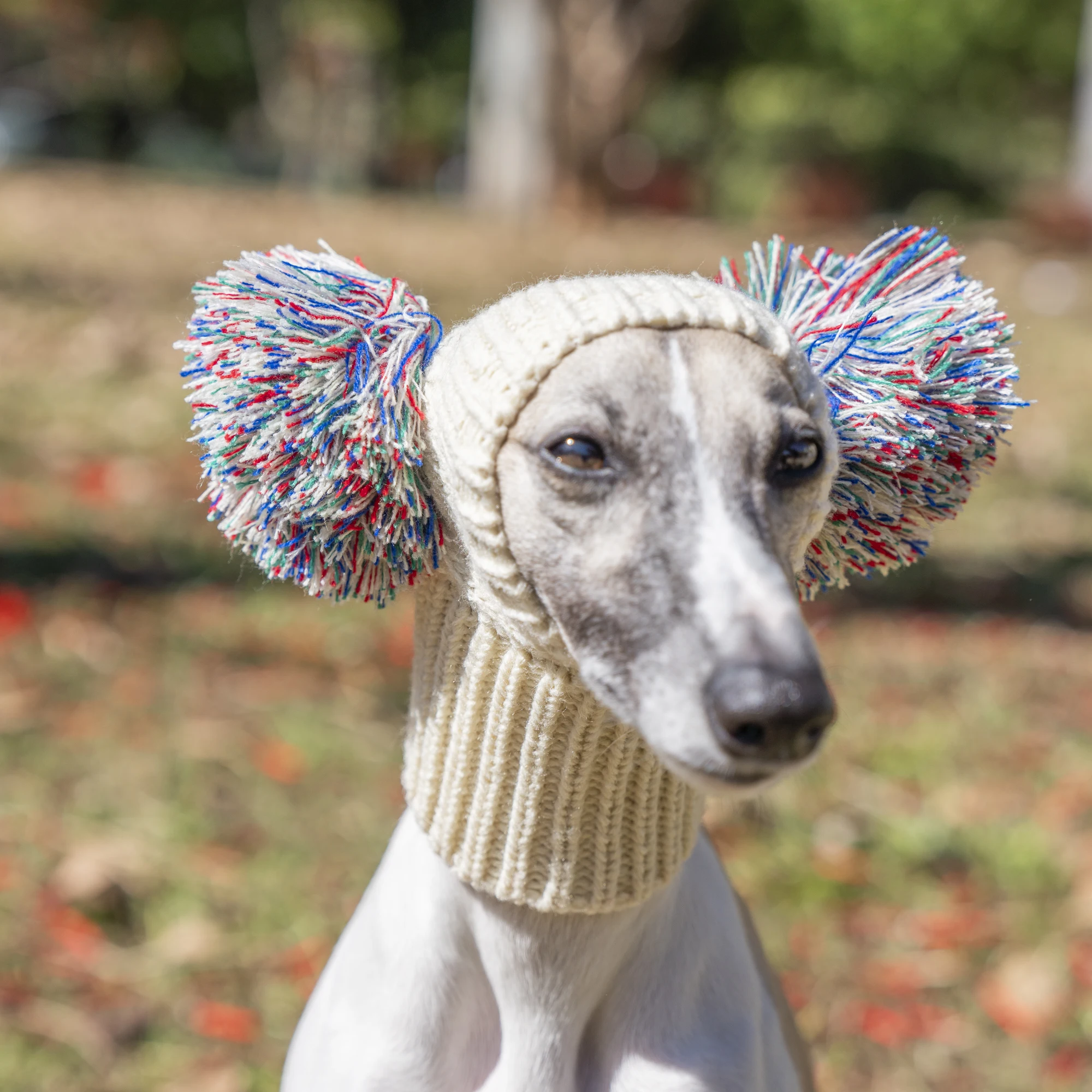 Gorro Whippet de galgo italiano con bola de piel, gorro para mascotas en invierno, gorro de lana elástica para cachorros y perros grandes - imagen 3