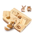 Foraging Toy