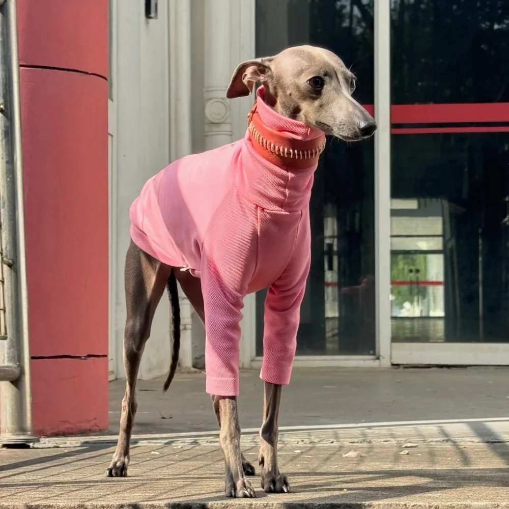 Camiseta de primavera estilo Janpanese para Italia Greyhound Soft Long Sleeves Spring Coat para ropa de whippet Verano Sweet Loungewear - imagen 4