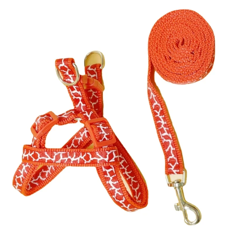 Arnés y correa para gatos – Conjunto anti-escape para paseo Sicher - imagen 3