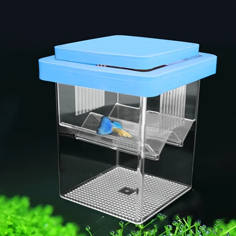 Caja de aislamiento multifuncional para cría de peces, acuario de peces, cría de acuario de alta claridad, incubadora para incubar Doble Guppies - imagen 2