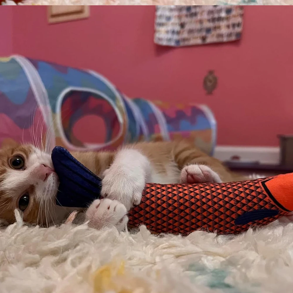 1/2 juguetes para gatos, hierba gatera, mariscos, peces, entretenimiento, Molar, dentición, antimordida, artefacto de diversión para gatos, suministros para mascotas y gatitos