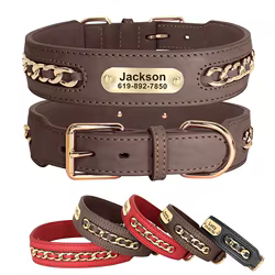 Collar de cuero con placa identificativa para perros - Nombre grabado