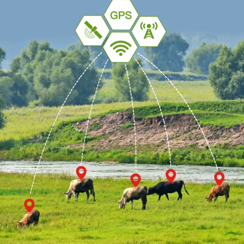Rastreador GPS Solar 4G para ganado vacuno – Antirrobo y pastoreo - imagen 5
