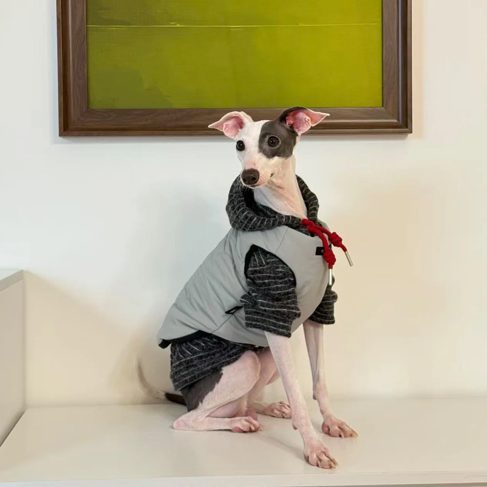 Abrigo cálido de dos lados para usar para galgo italiano en invierno, conjunto de dos piezas, chaqueta, camiseta interior con capucha para perros Samll Meida Whippet