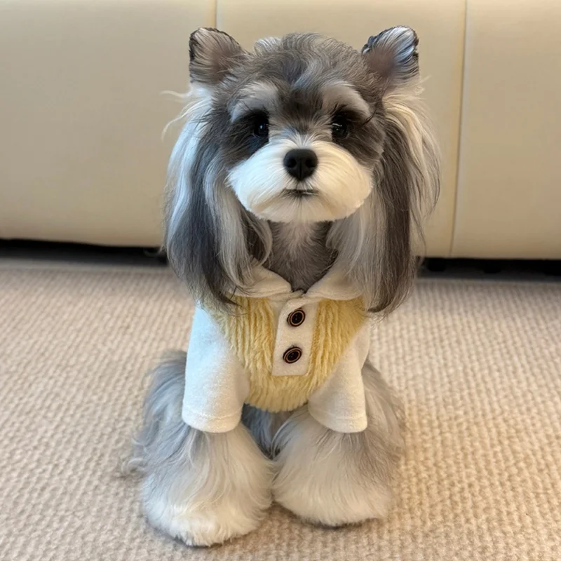 Perro polar capa base de dos patas suave invierno suéter para perros pequeños caniche cachorro de peluche ropa de otoño invierno - imagen 4