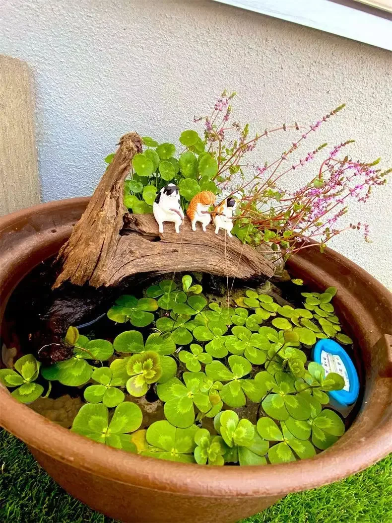 hmqViviiyNSAyin7WuaUt1156PGQFHCZznuy