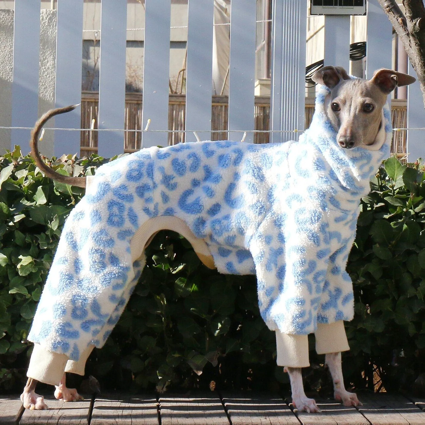 Pijama abrigada print leopardo para perros medianos, galgos y Whippet - imagen 5