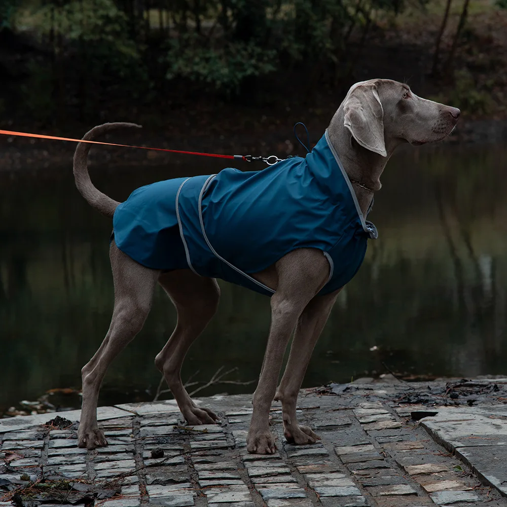 Chaqueta impermeable para exteriores para mascotas, chaqueta de plumón transpirable para perros, Sudadera con capucha, impermeable, reflectante para perros grandes, accesorios para productos para mascotas - imagen 3