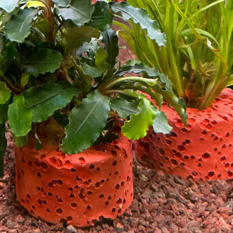 Anillas con peso para fijar plantas de acuario – Soporte estable - imagen 4