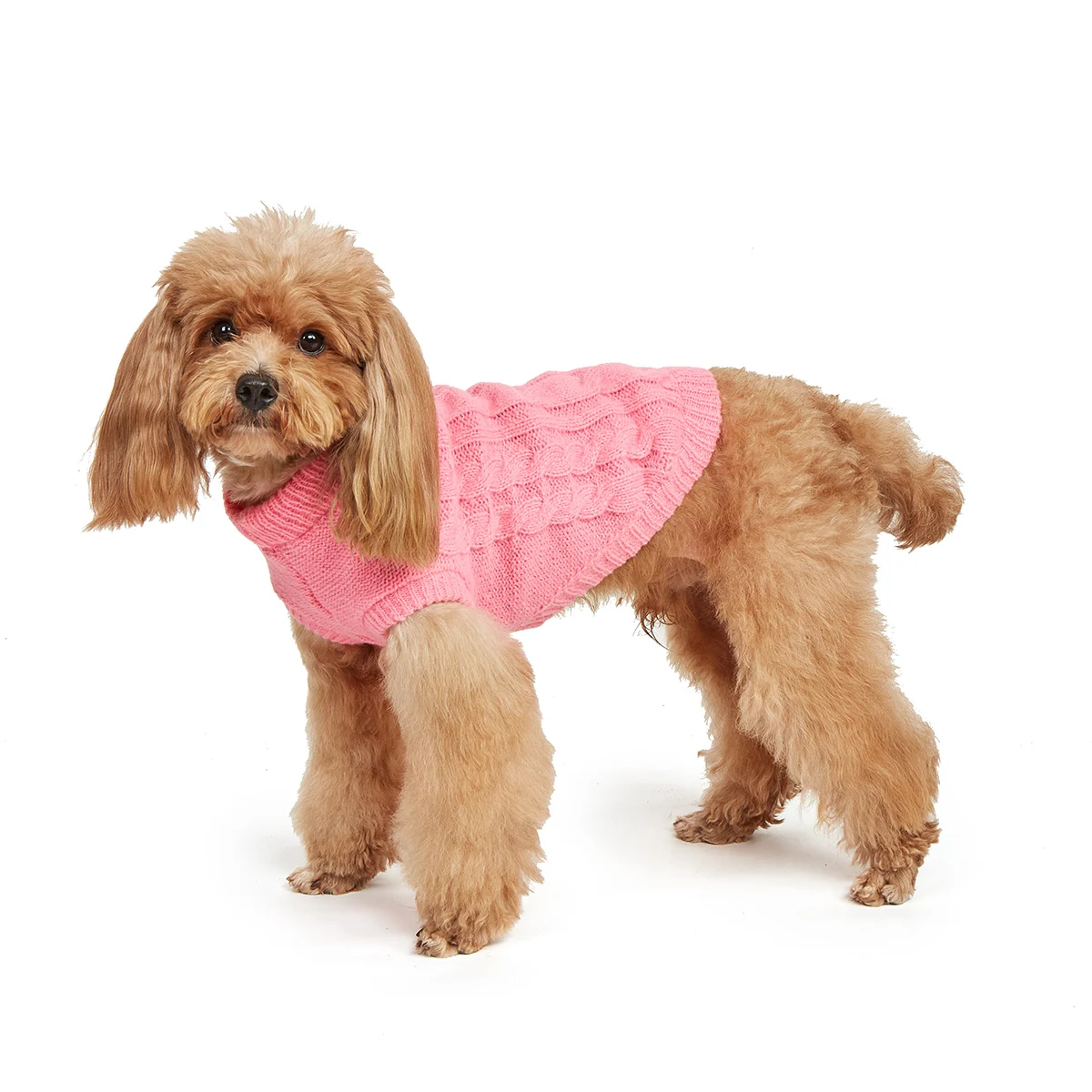 Jersey para perro pequeño, prendas de punto para clima frío, cuello alto clásico, ropa gruesa y cálida para Chihuahua, Bulldog, Dachshund, Pug - imagen 5