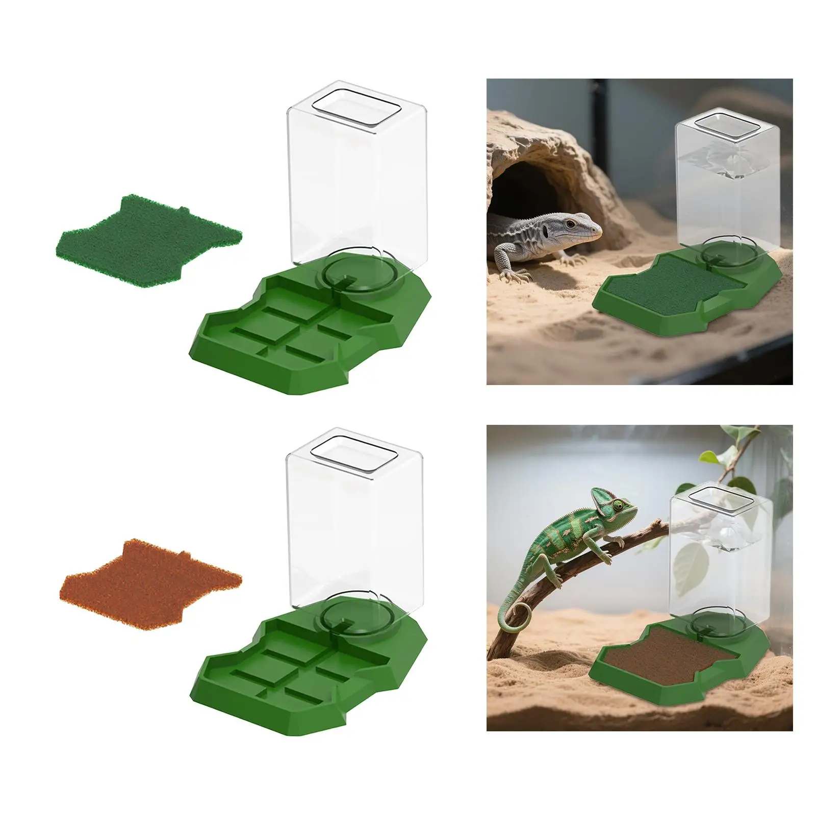 Dispensador de agua para reptiles, botella dispensadora de tortuga, comedero, agua, comida de tortuga y tazón de agua para dragón barbudo Geckos - imagen 3