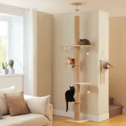 Árbol para gatos techo suelo altura ajustable poste cueva acrílico