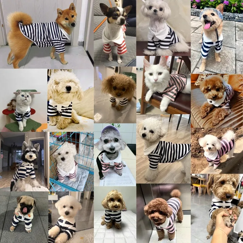 Polo de verano para mascotas, ropa bonita para cachorros, camisa Simple a rayas para gatos, chaleco de moda para mascotas y gatitos, ropa suave para perros, ropa para perros Chihuahua - imagen 2