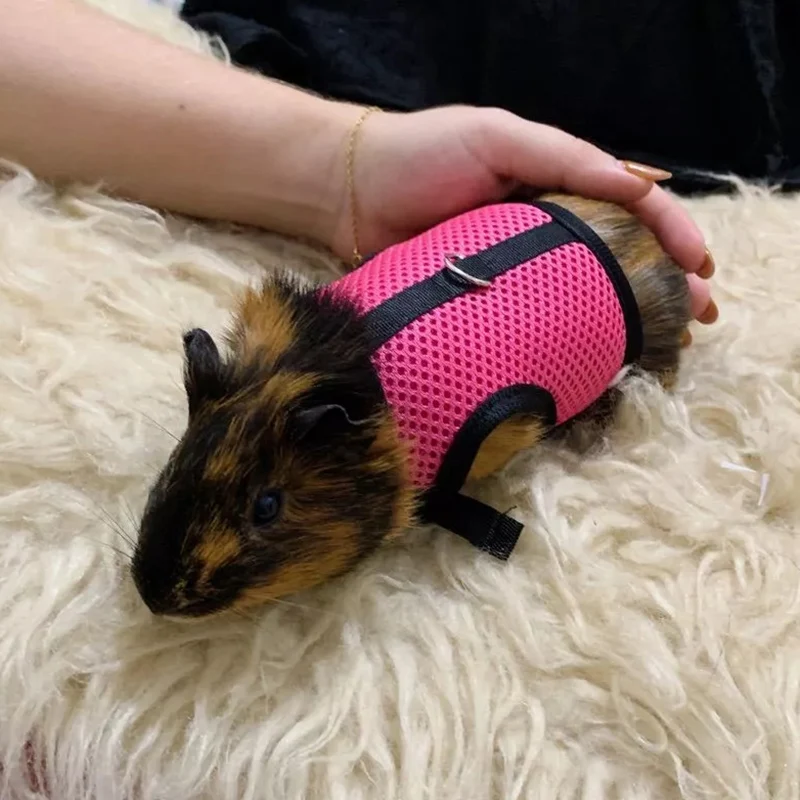 Kit completo de arnés de malla y correa para hurones, conejillos de indias y conejos
