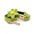 Flower Collar Lead