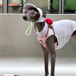 Sombrero protector solar para perros pequeños - gorra de béisbol