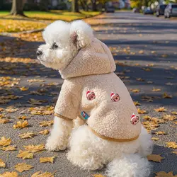 Ropa cálida de invierno para perros, sudadera con capucha de terciopelo para mascotas, sudadera de oso de peluche bordada para Bichon Schnauzer Chihuahua, trajes acogedores para mascotas