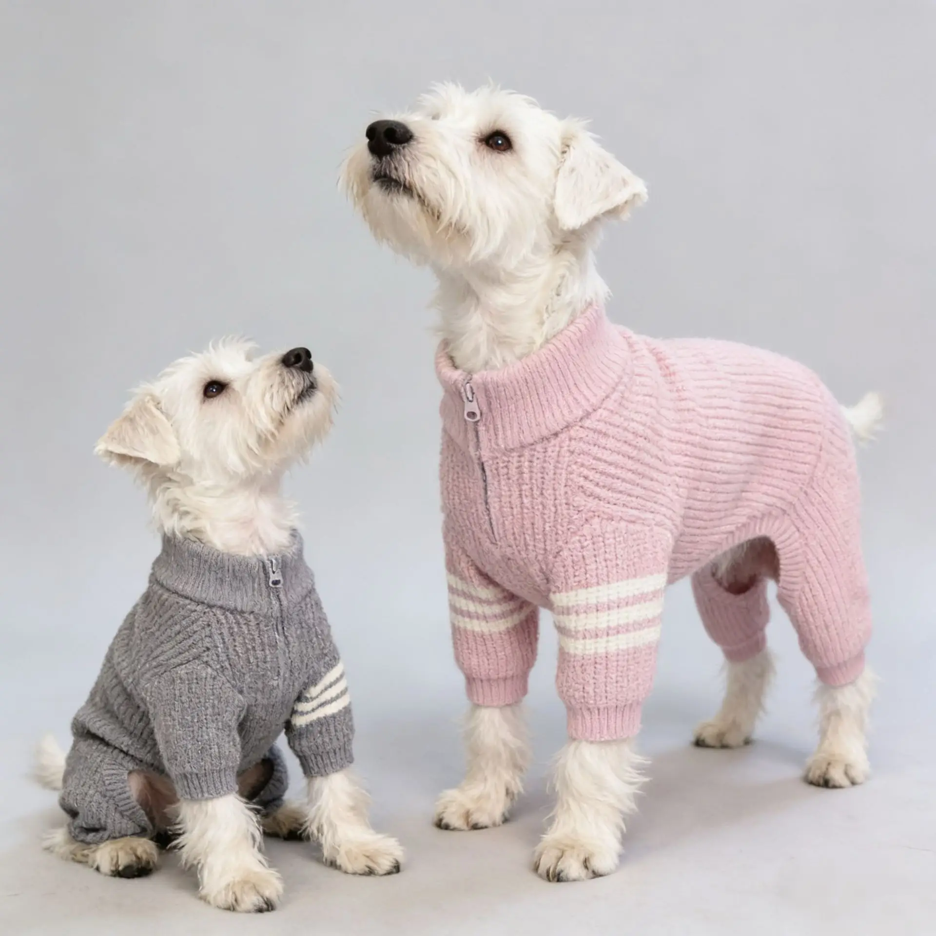 Suéter tipo polo de invierno para perros mini, medianos o Bichón Frisé