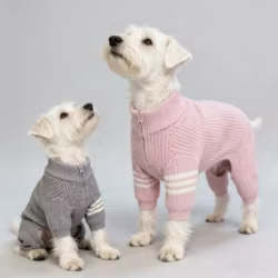 Suéter tipo polo de invierno para perros mini, medianos o Bichón Frisé