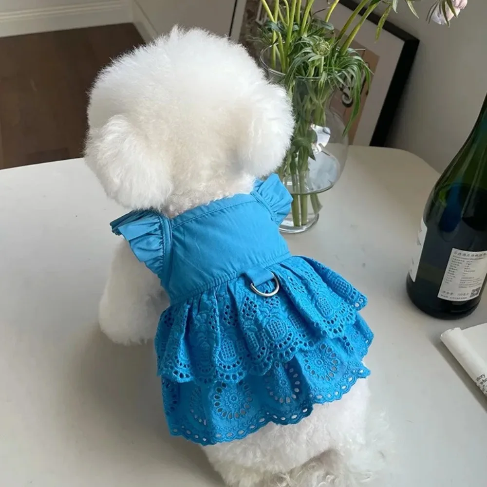 Vestido de encaje con mangas voladoras para mascotas, ropa de tracción fina para perros pequeños, oso de peluche, gato, primavera y verano, nuevo