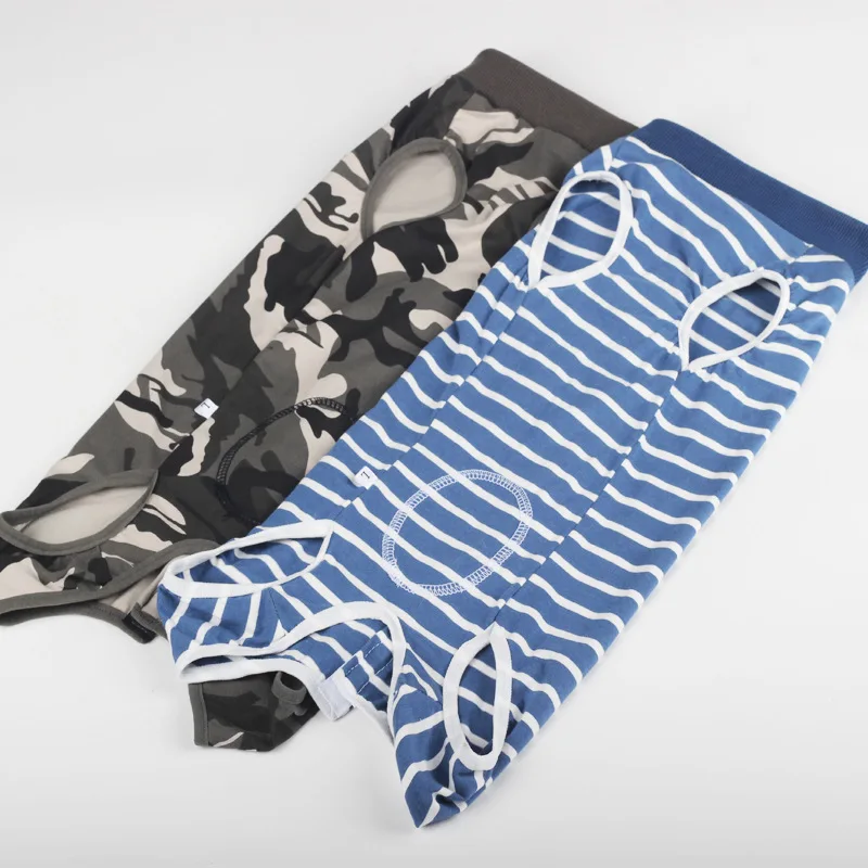 Perro en diferentes situaciones mostrando versatilidad