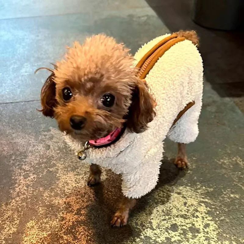 Mono cálido - Gatos