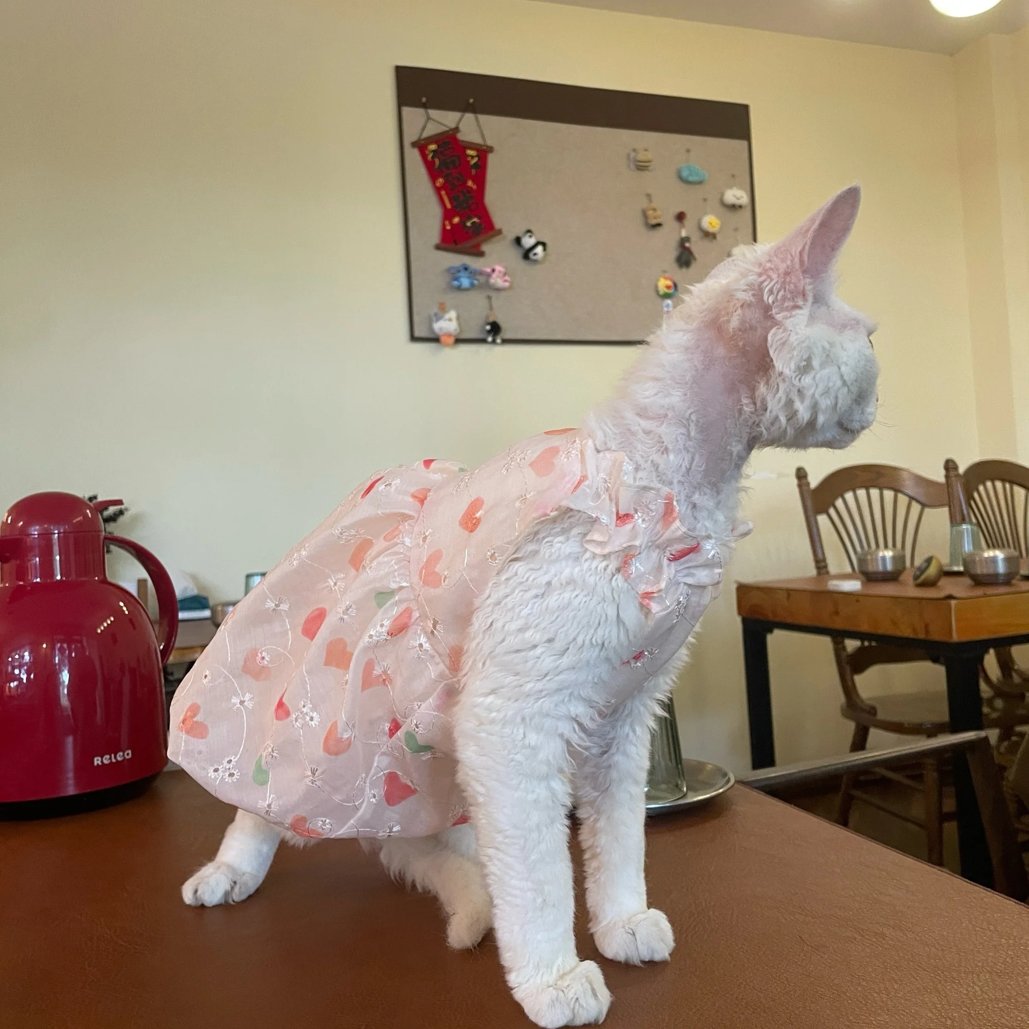 Vestido de princesa de doble cara de verano con interior de algodón suave para gato Sphynx falda rosa dulce transpirable Tiara con lazo para gato femenino - imagen 2