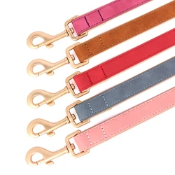 Correa acolchada para perro – Ideal para Pug y Pastor Alemán