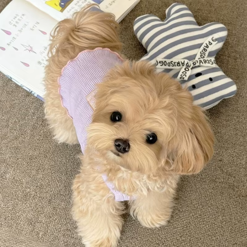 Chaleco de verano para perros y gatos – Suave, ideal para Bichón - imagen 3