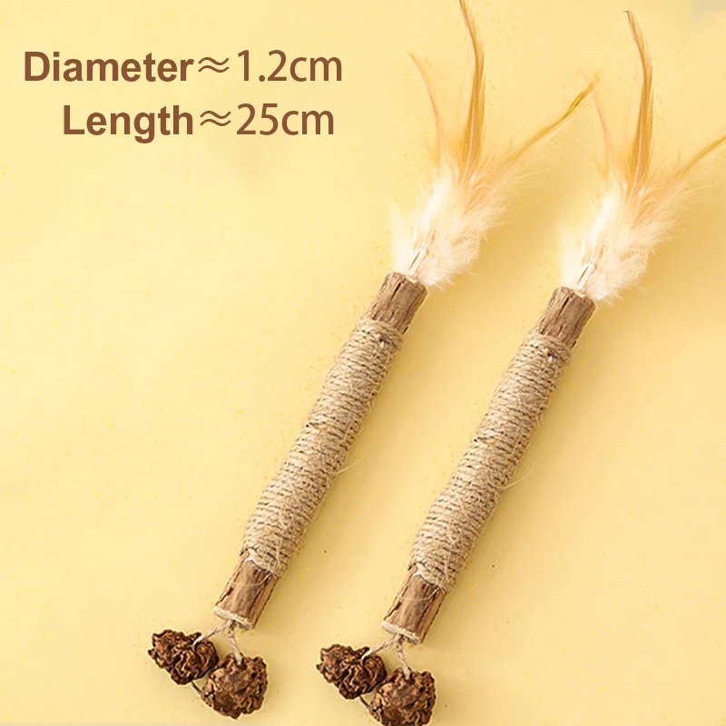 Two chicken feathers