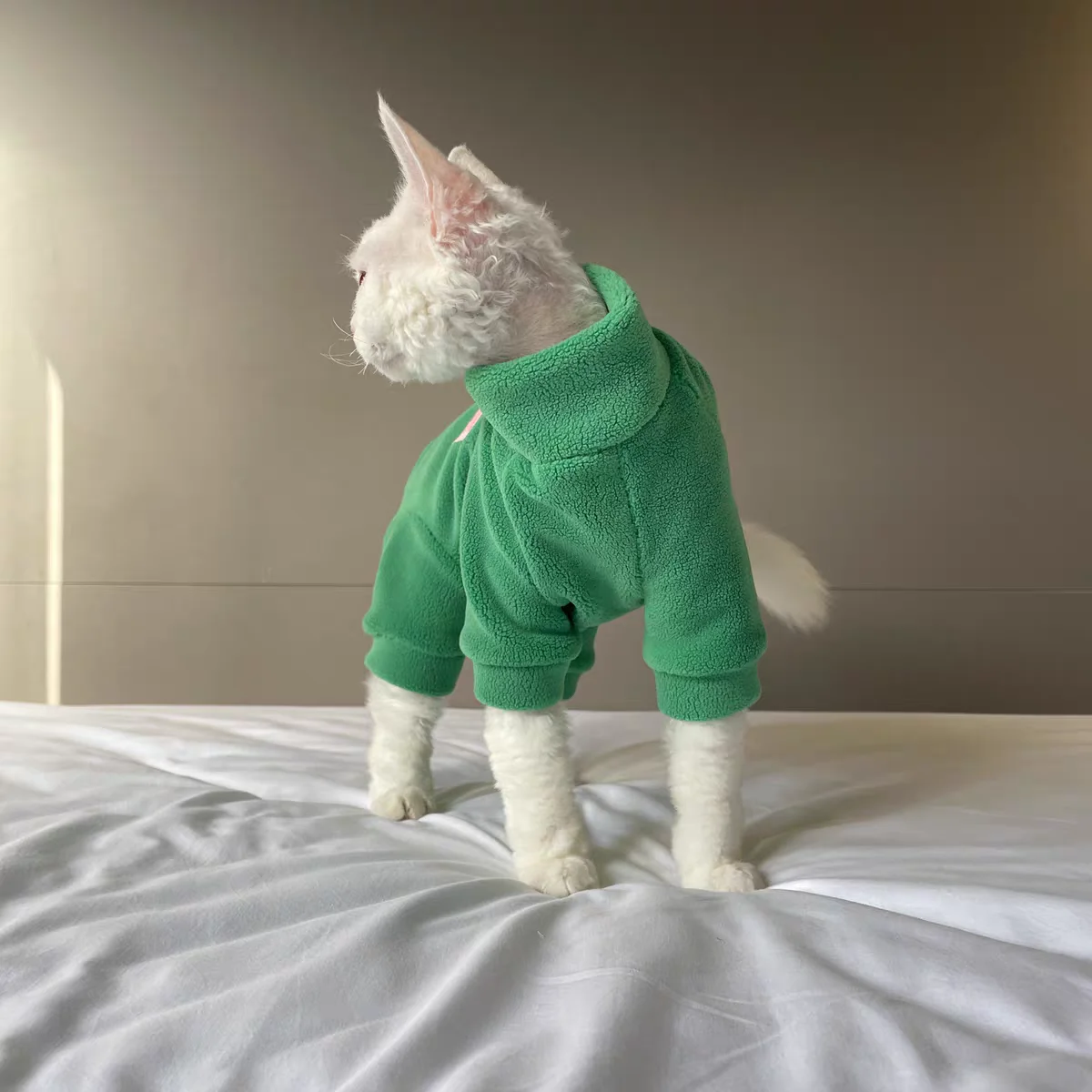 Abrigo polar de invierno para gato Sphynx, sudadera cálida de paleta de colores de macarrón de 4 patas para gatitos, traje suave de otoño para gato sin pelo - imagen 3