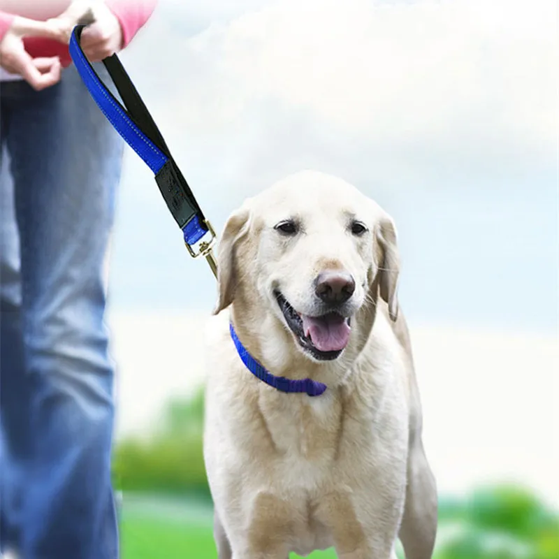 Correa de nailon para perros grandes, cinturón de seguridad para coche, reflectante, para pasear - imagen 2