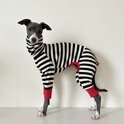 Abrigo para galgo Whippet de rayas – Jersey entretiempo
