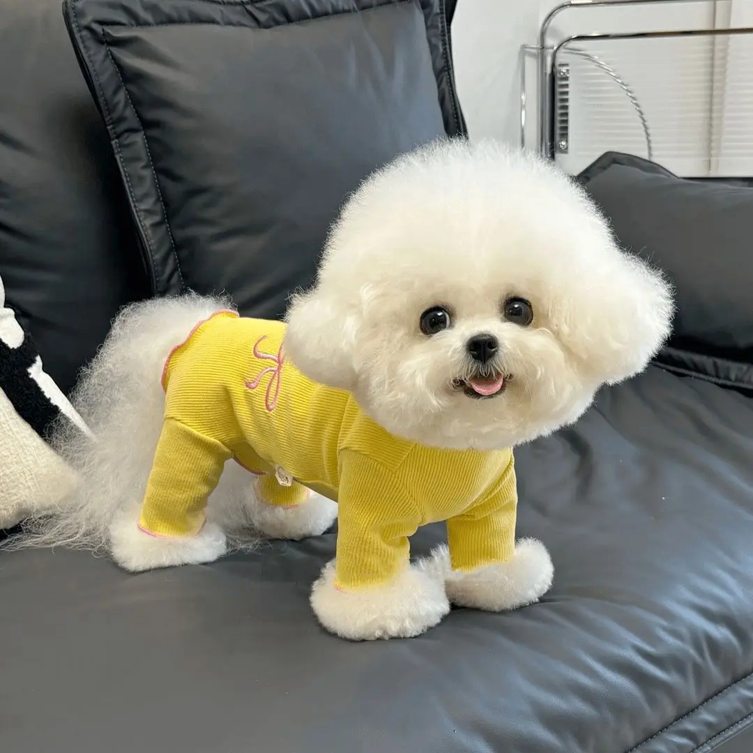 Mascota Otoño Invierno terciopelo bordado arco cuatro patas vientre envoltura Teddy protección del vientre ropa de casa pijamas ropa de cachorro