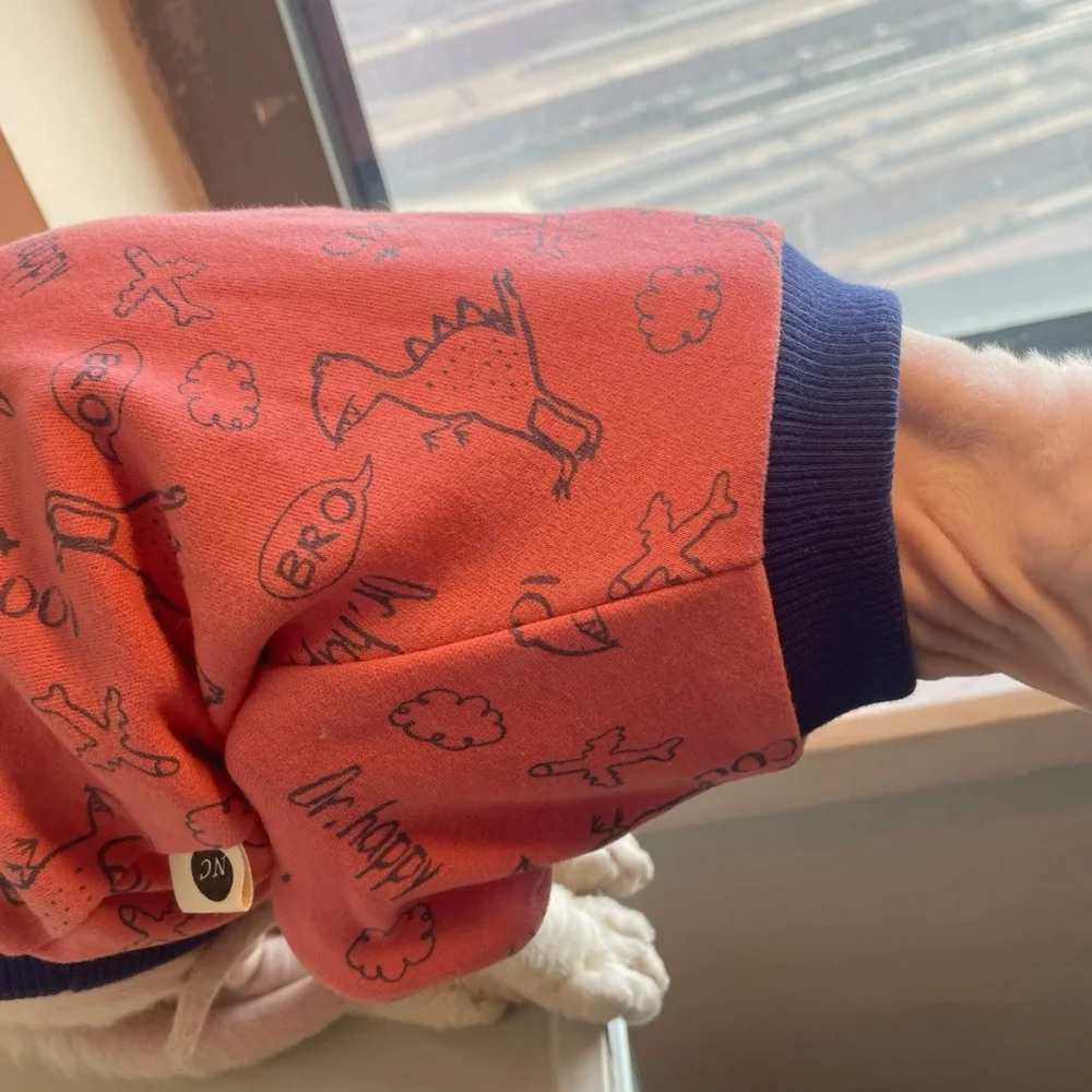 Sphynx Cat Cotton Cartoon Dinosaur Sudadera Camiseta de manga larga para gato sin pelo Abrigo de primavera rojo Ropa de estar por casa gris para gatitos - imagen 3