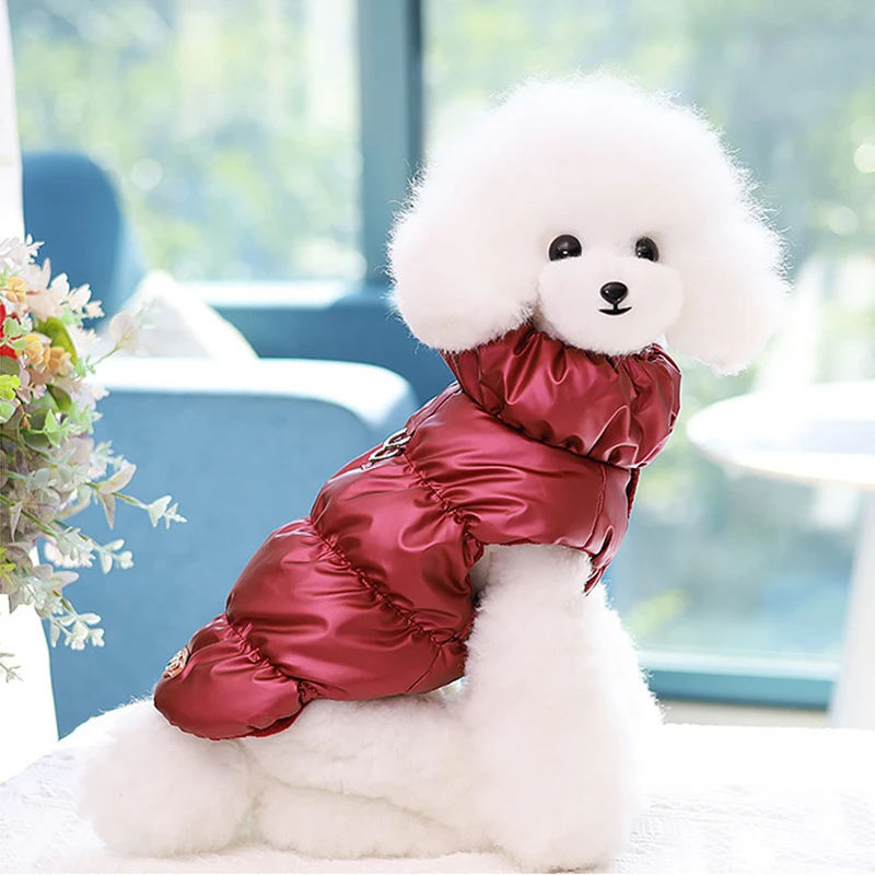 Ropa cálida para perro, chaqueta de plumón para mascotas, chaqueta acolchada para cachorros, ropa para perros pequeños y medianos, disfraz de Chihuahua, Parka gruesa para gatos - imagen 4