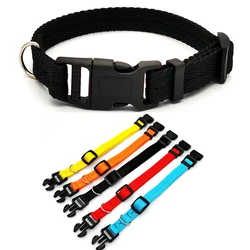 Collar adiestramiento para perrosmedianos y pequeños – color sólido