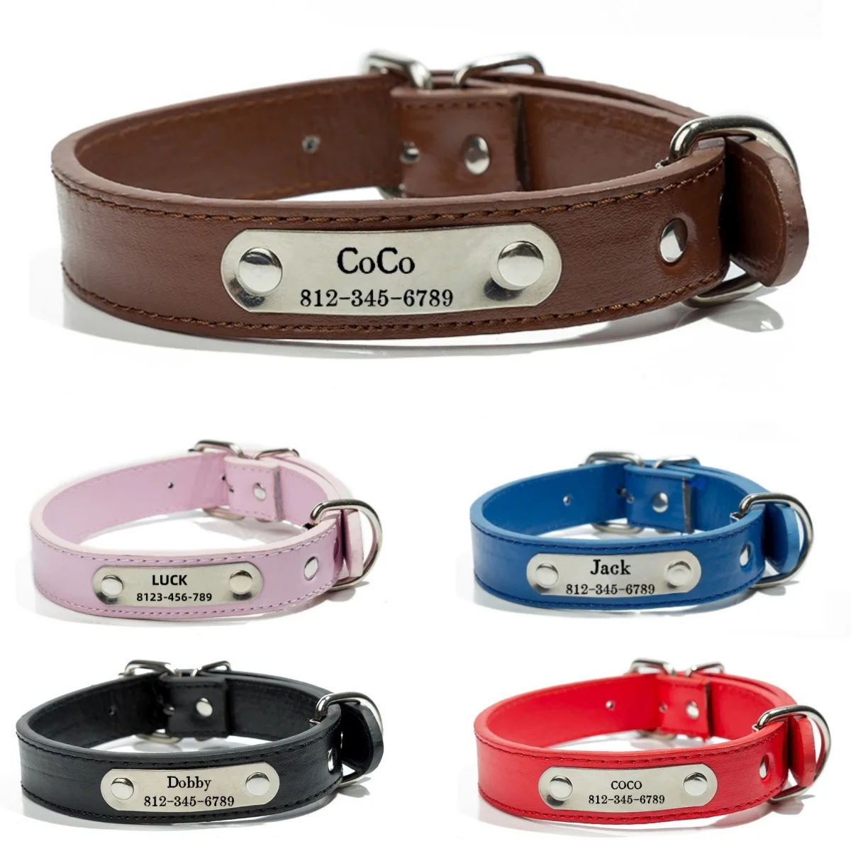 Collar Perro Personalizado COOYOMOO - Vista principal