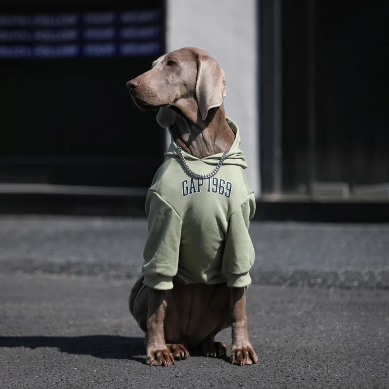 Moda Primavera fuera de perro grande Sudadera con capucha Golden Retriever Labrador trajes verdes disfraz de lujo para perros medianos y grandes
