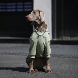 Moda Primavera fuera de perro grande Sudadera con capucha Golden Retriever Labrador trajes verdes disfraz de lujo para perros medianos y grandes