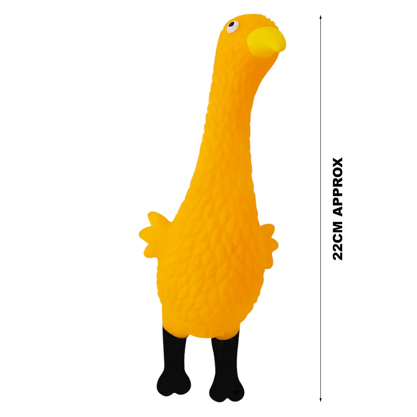 Juguete mordedor BOUSSAC junto a un perro adulto